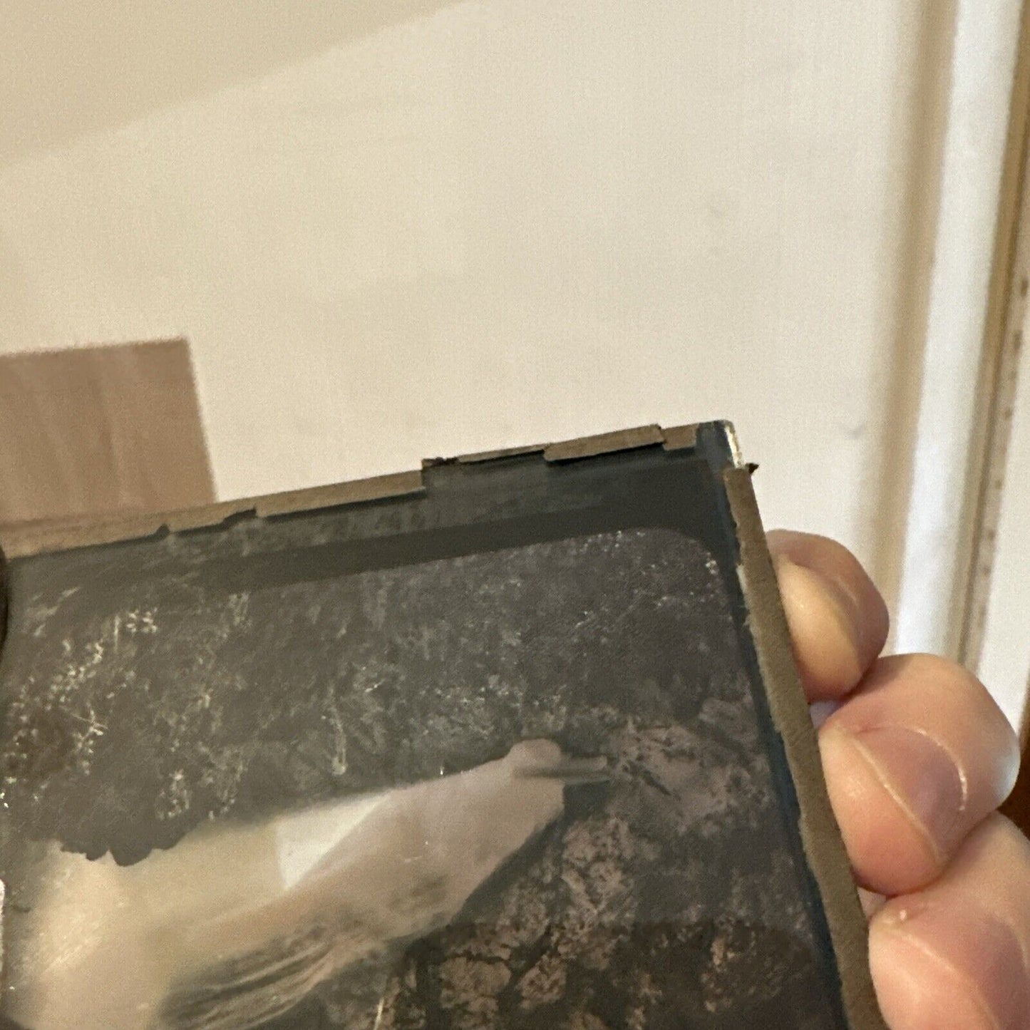 Antique Magic Lantern Glass Slide Fall of Foyers G.W.W gww